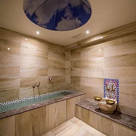 Ruba Palace Thermal ホテル ブルサ